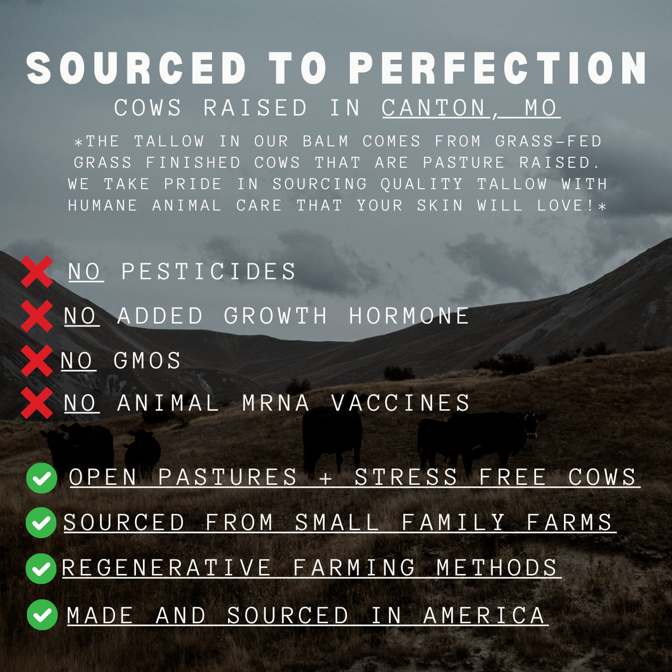 Try Tallow TryTallow – Small-Batch Skincare Made with Grass-Fed Tallow